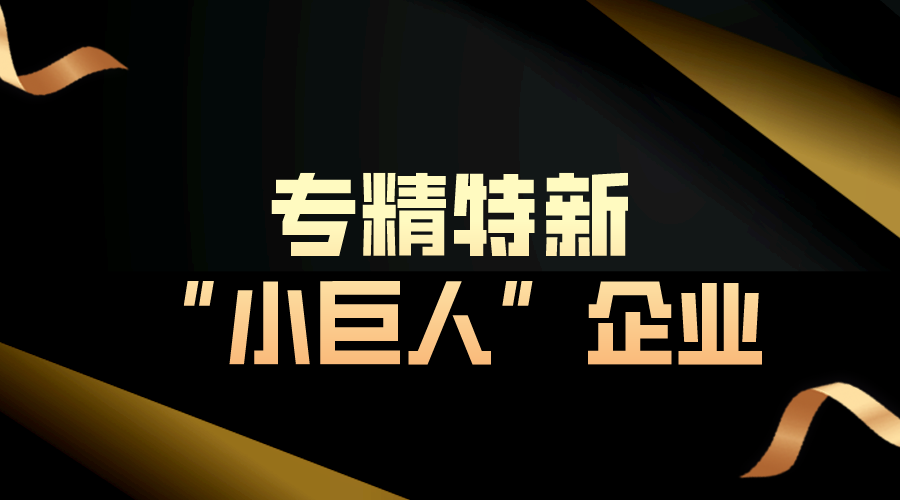 第六批专精特新“小巨人”企业培育和第三批专精特新“小巨人”企业复核