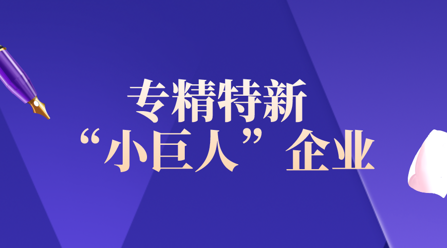 财政部办公厅 工业和信息化部办公厅关于加强审计报告查验完善专精特新“小巨人”企业服务管理的通知