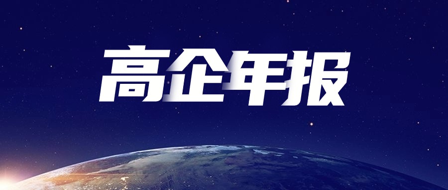 高新技术企业发展年报最新填报指南