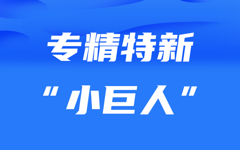 山东省工业和信息化厅 山东省财政厅关于组织开展2024年重点“小巨人”企业遴选推荐工作的通知